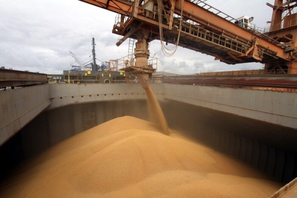 Стало відомо, як Велика Британія допомагає Україні вивозити зерно