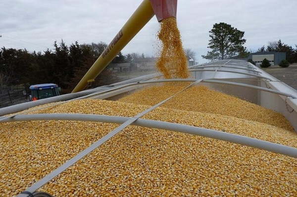Україна «поставила на паузу» скаргу до СОТ щодо експорту зерна
