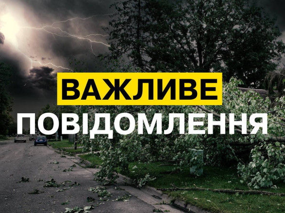 Негода в Україні: енергетики переведені у посилений режим в Київській та Донецькій областях