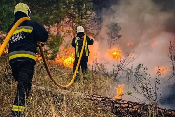 У Пірнівській громаді на Київщині горить лісова підстилка площею близько 10 га