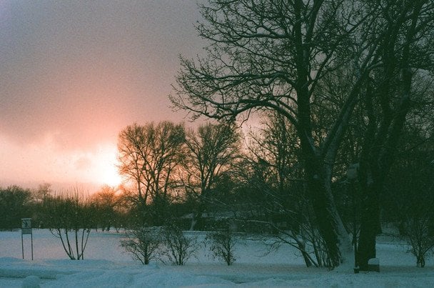 Народні прикмети 20 січня / © pexels.com