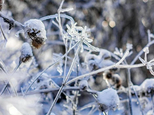 Народні прикмети 22 січня / © pexels.com