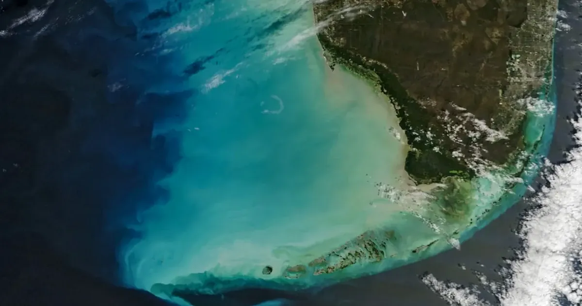 NASA помітила зміну кольору океанських вод Флориди NASA помітила зміну кольору океанських вод Флориди
