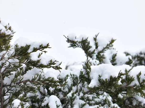 Народні прикмети 7 лютого / © unsplash.com