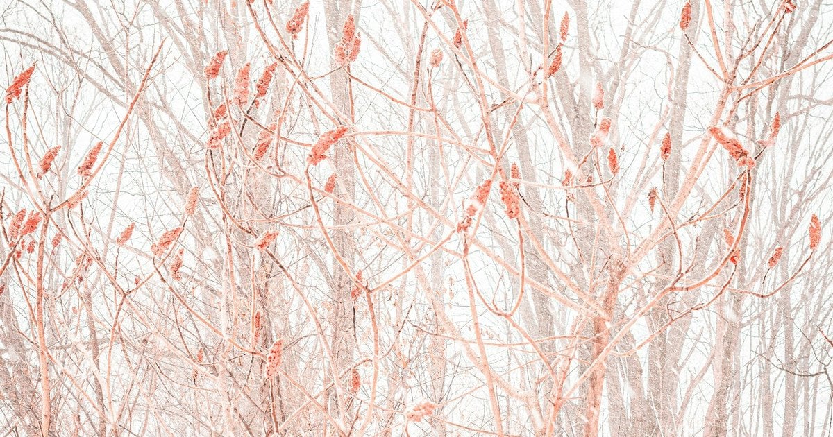 Який сьогодні, 20 лютого, день ангела Який сьогодні, 20 лютого, день ангела
