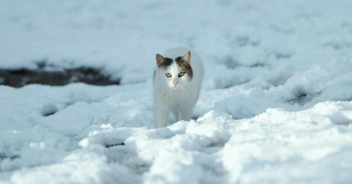 Який сьогодні, 6 лютого, день ангела