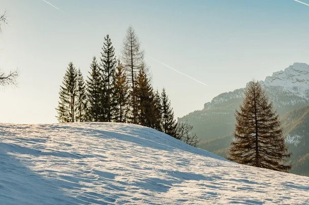 Народні прикмети 17 лютого / © pexels.com