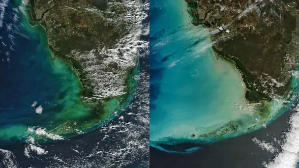 NASA помітила зміну кольору океанських вод Флориди / © NASA