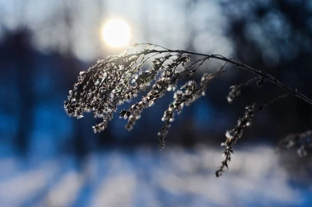 Народні прикмети 3 березня / © pexels.com