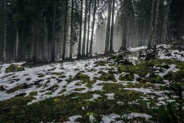 Народні прикмети 12 березня / © unsplash.com
