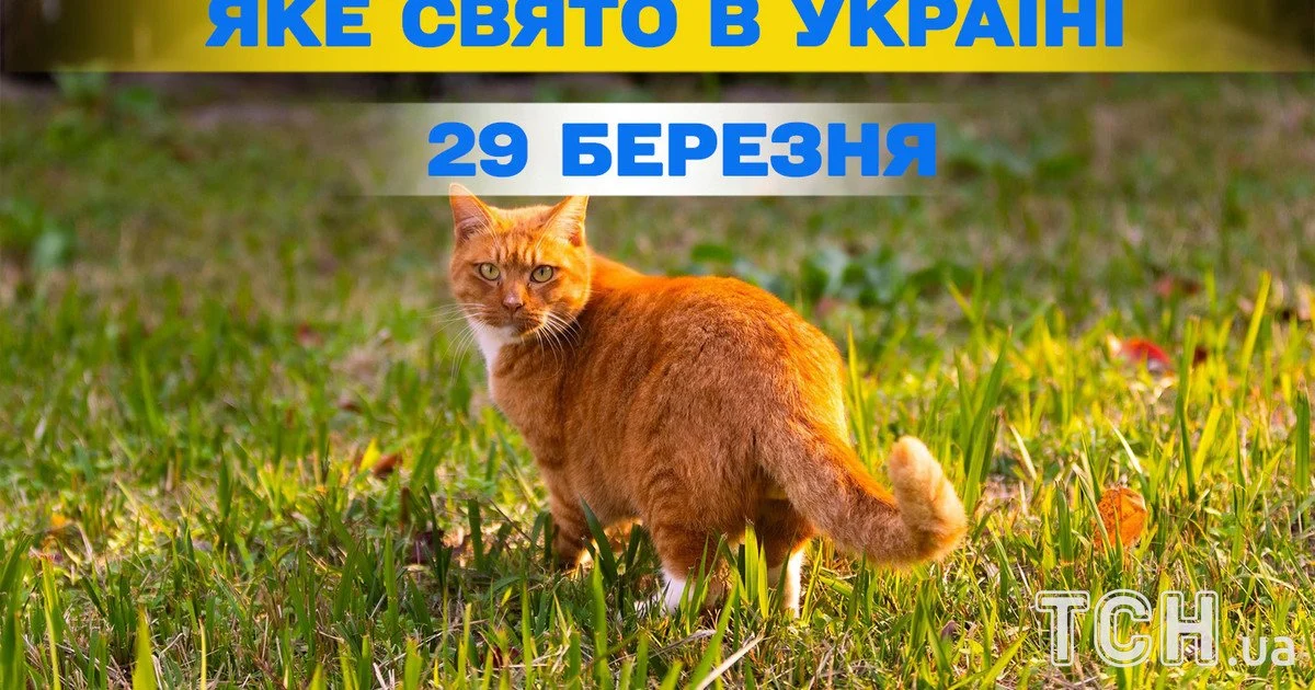 Яке свято 29 березня 2026 року Яке свято 29 березня 2026 року