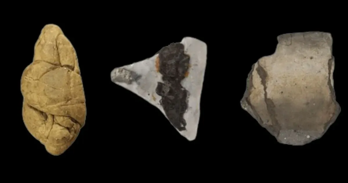 «Жовані» шматочки березового дьогтю. Фото: White et al., Proc. R. Soc. B, 2025