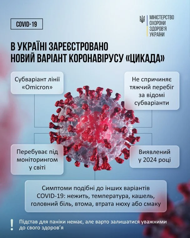 Що відомо про штам коронавірусу «Цикада» / © Міністерство охорони здоров'я України