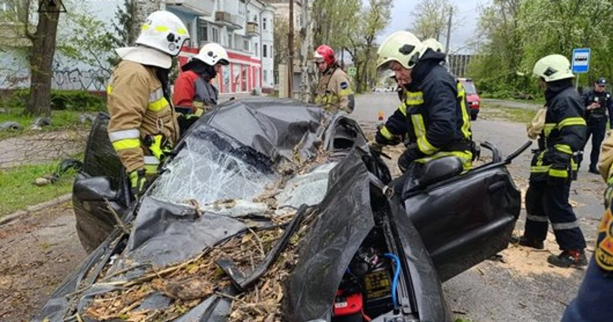 Смертельна негода у Запоріжжі: повалене дерево розчавило авто разом із водієм (фото) Смертельна негода у Запоріжжі: повалене дерево розчавило авто разом із водієм (фото)