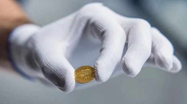 Золото знайшли у Чехії / © iDNES.cz