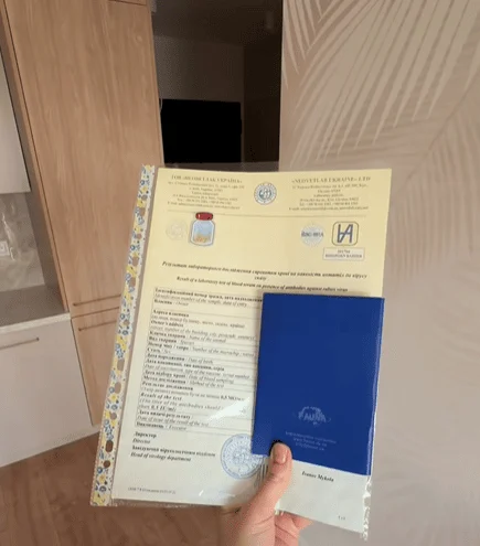 Documents required for transporting a cat across the border / © from social media