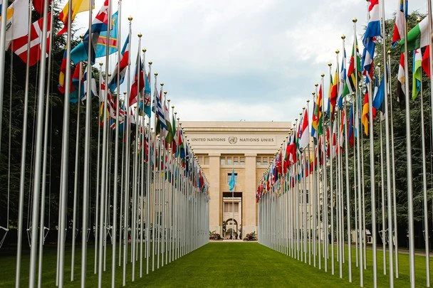 29 травня Міжнародний день миротворців Організації Об’єднаних Націй