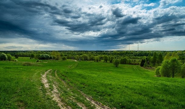 Народні прикмети 14 травня / © pexels.com