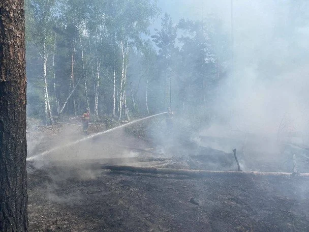 Російські дрони знову спричинили пожежі в Чорнобильській зоні/ Фото: ДАЗВ