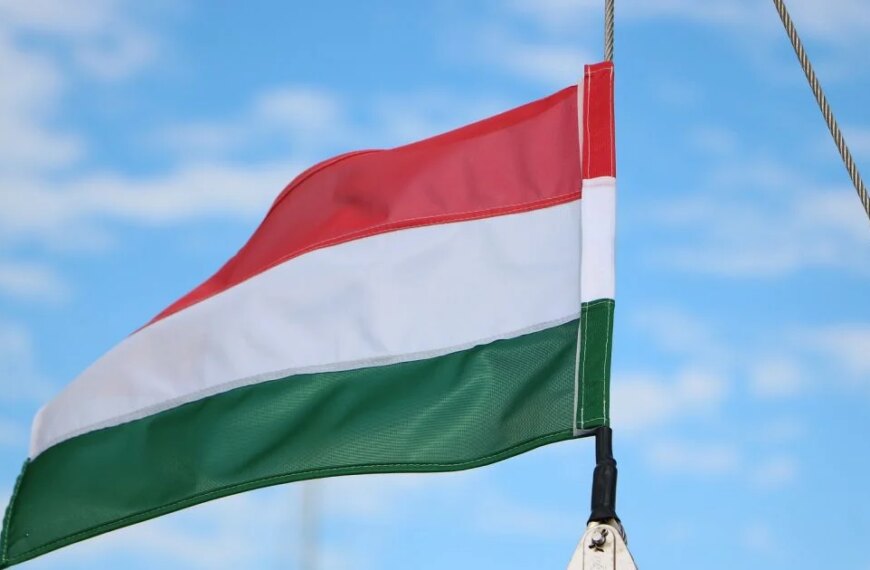 Українське МЗС зірвало концерт російського скрипаля в Угорщині