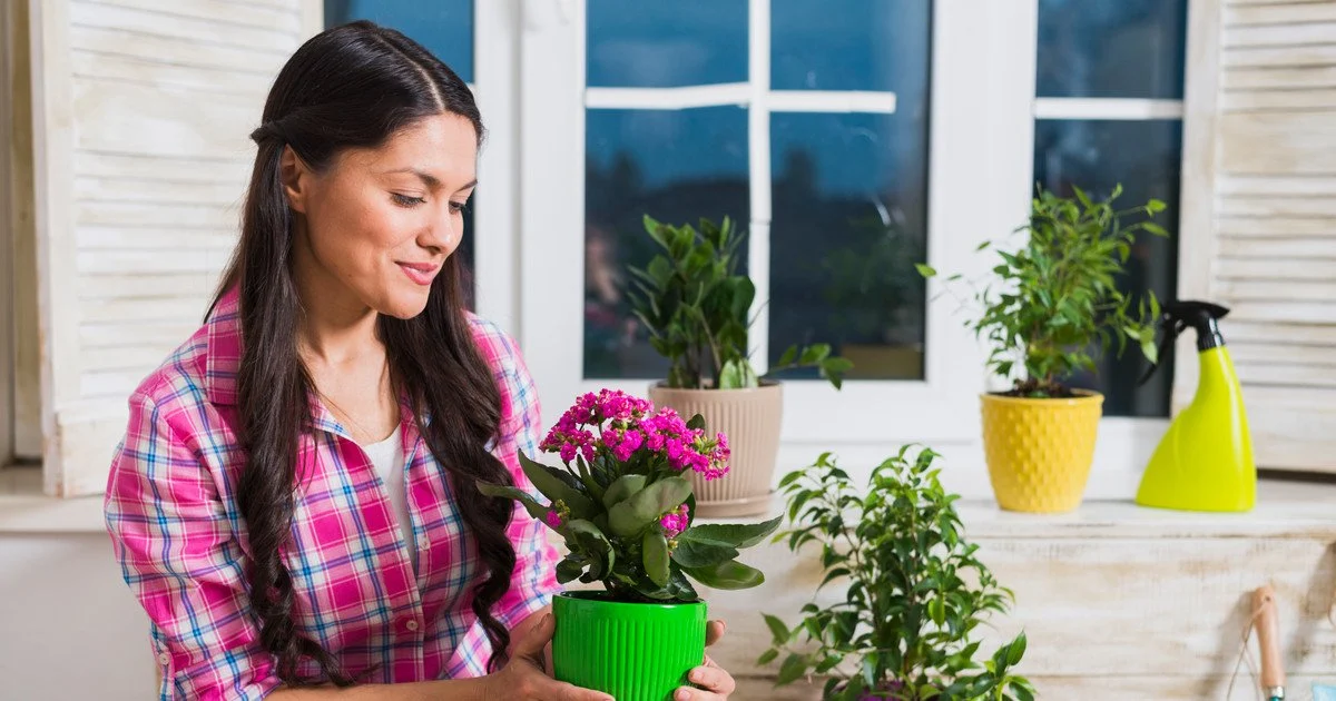 Which flowers should be moved to the balcony Which flowers should be moved to the balcony
