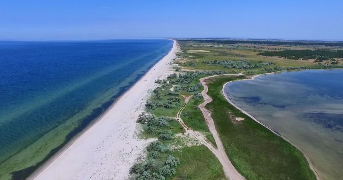 Кінбурнська коса Кінбурнська коса