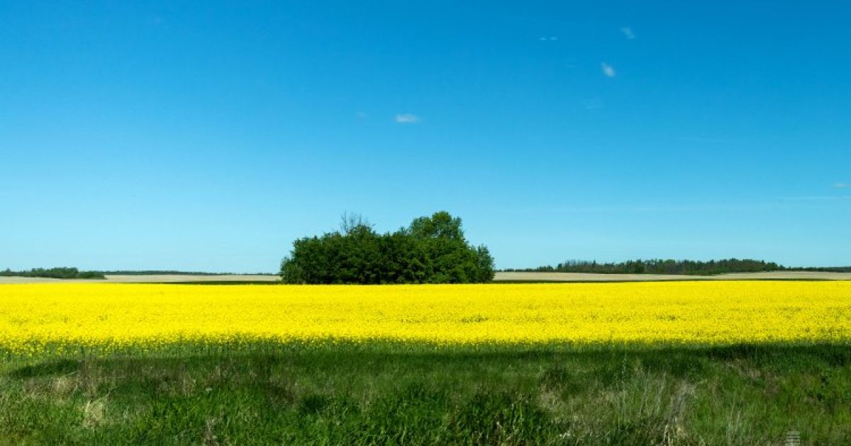 Україну накриває хвиля спеки з Африки