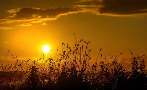 21 червня День літнього сонцестояння / © pexels.com