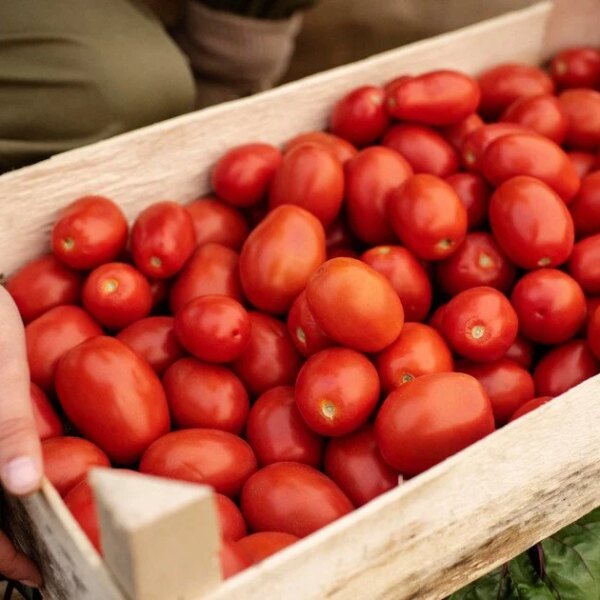 Користь популярного продукту для серця, шкіри та травлення