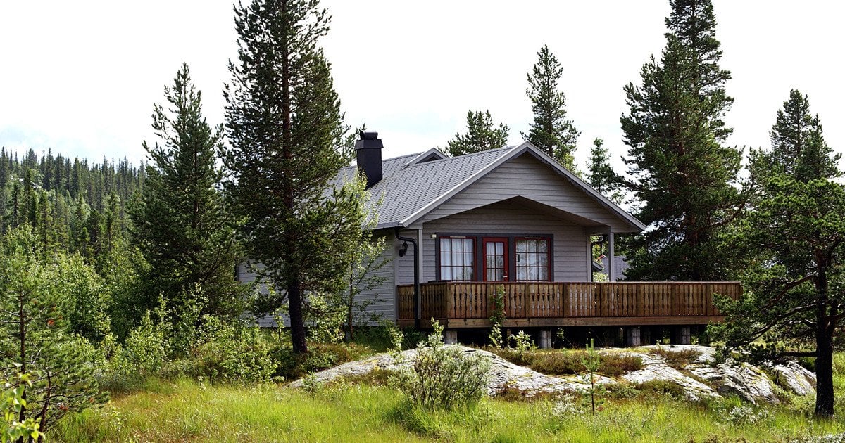 Which trees should not be planted near a house