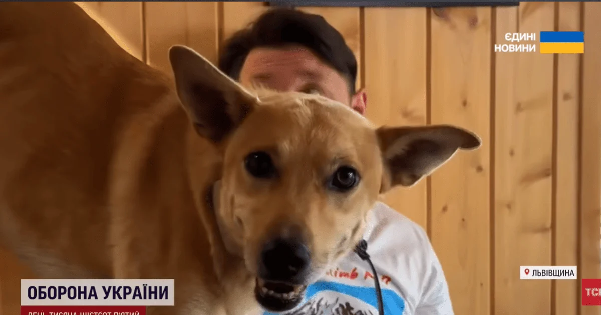 Пес Спіді Пес Спіді
