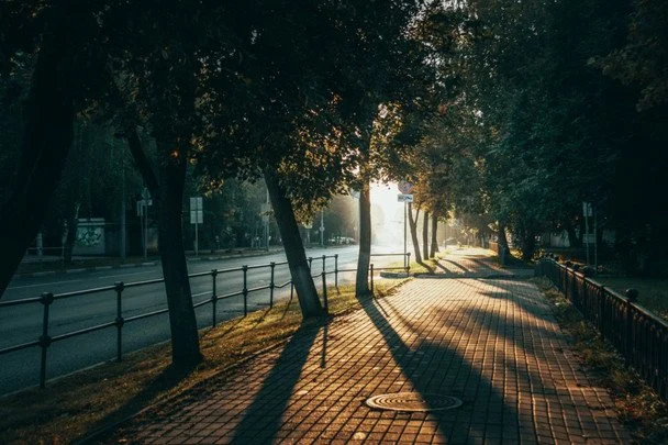 Народні прикмети 14 липня / © pexels.com