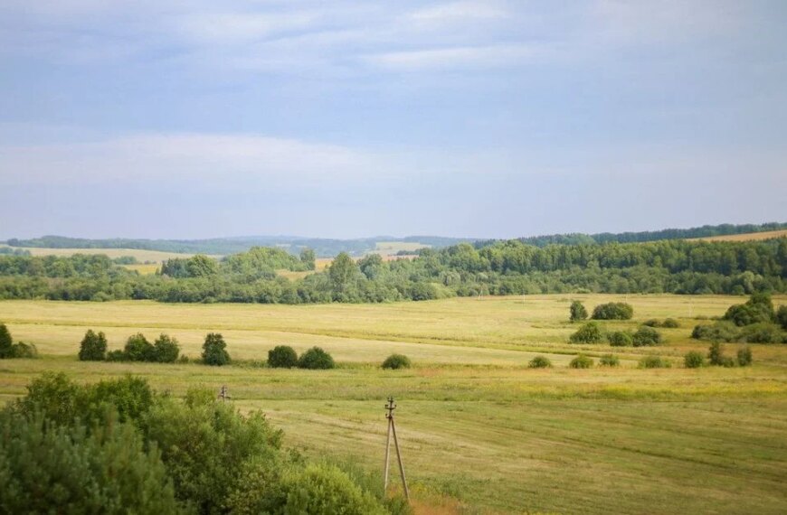 19 липня відзначають свої іменини: * **Ганна** * **Юліан** * **Марта** * **Василиса** * **Павло** Іменини — це день пам’яті святого, на честь якого хрестили людину. Тому в цей день прийнято вітати іменинників, бажаючи їм здоров’я, щастя та Божої благодаті. **Як вітати:** * **Словами:** щирі побажання, згадування добрих рис характеру, побажання здійснення мрій. * **Подарунками:** невеликий, але пам’ятний презент, який відповідає інтересам іменинника. * **Молитвою:** якщо ви віруюча людина, можна помолитися за здоров’я та добробут іменинника. Найголовніше — це увага та щирість. Ваші побажання та слова підтримки стануть найкращим подарунком для того, хто святкує свої іменини.