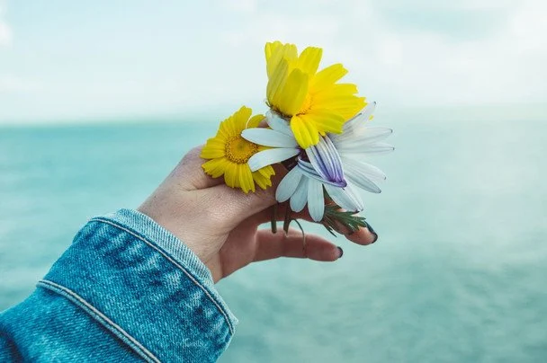 День ангела 8 липня — душевні привітання в прозі / © pexels.com