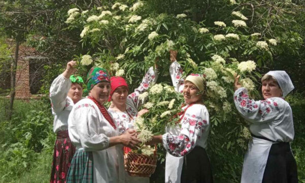 На городі бузина, а на столі бузина