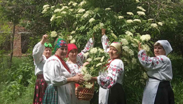 На городі бузина, а на столі бузина