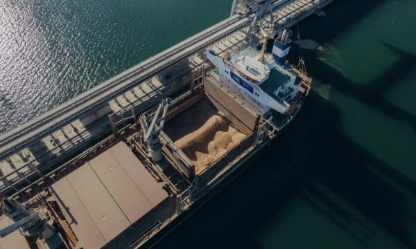 Ворог атакує портові термінали: як зберегти експорт агропродукції