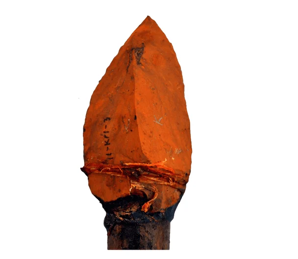 Фото: archaeology.org