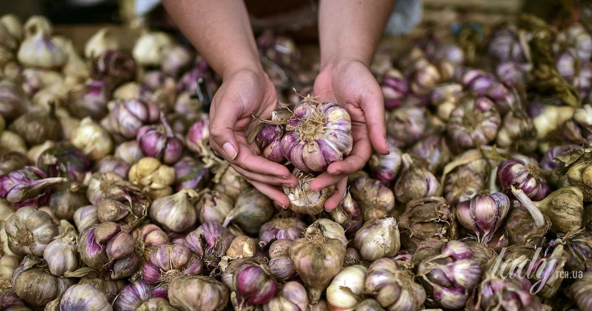 Garlic Garlic