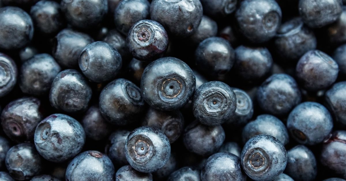 Blueberry season has started in Ukraine: prices surprised consumers