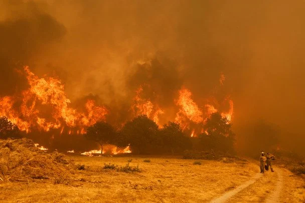 Іспанія переживає найбільшу лісову пожежу в історії / © Associated Press