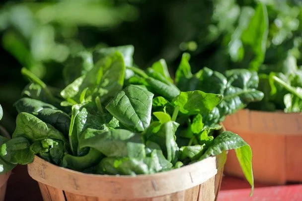 Spinach / © Associated Press